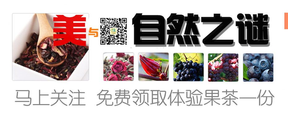 果茶盒18_副本01.jpg