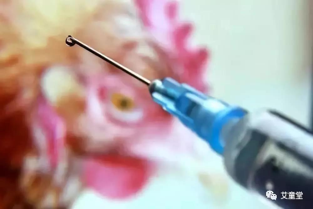葫芦灸