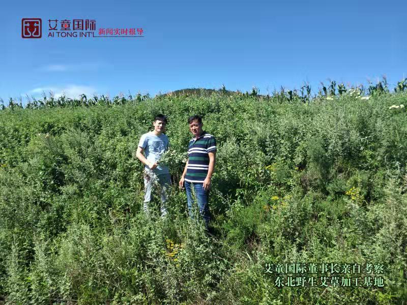 微信图片_20190908174601.jpg